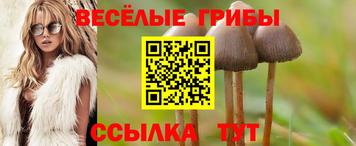 Домодедово  Галлюциногенные грибы мухоморы  Вход с VPN  Псилоцибиновые грибы Psilocybine cubensis 